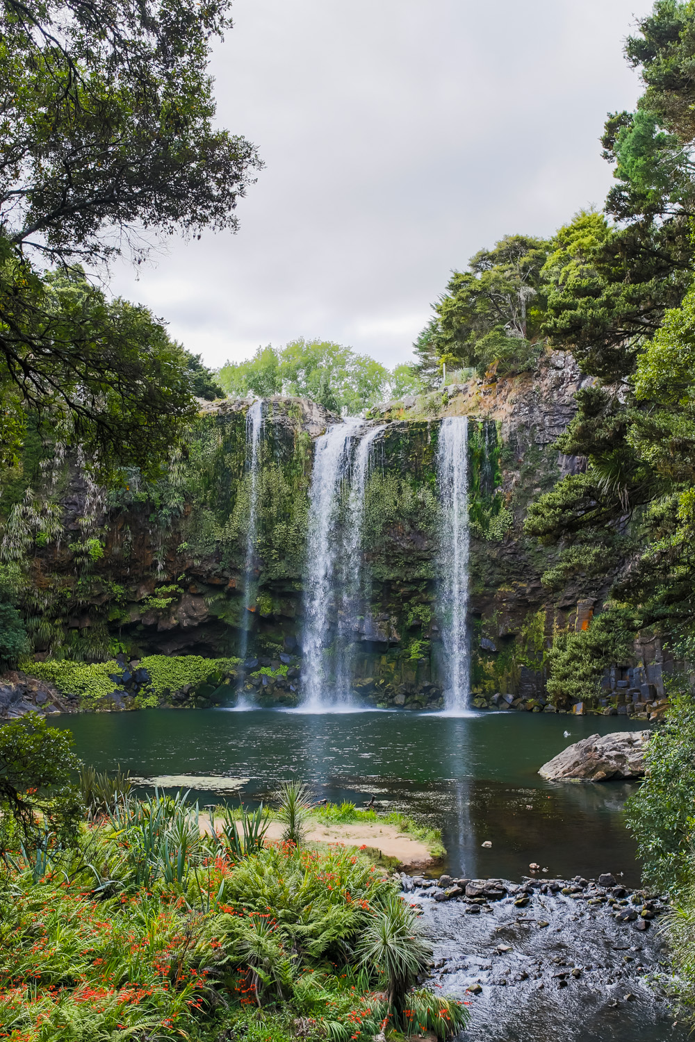 Whangarei Falls - Let's Be Explorers