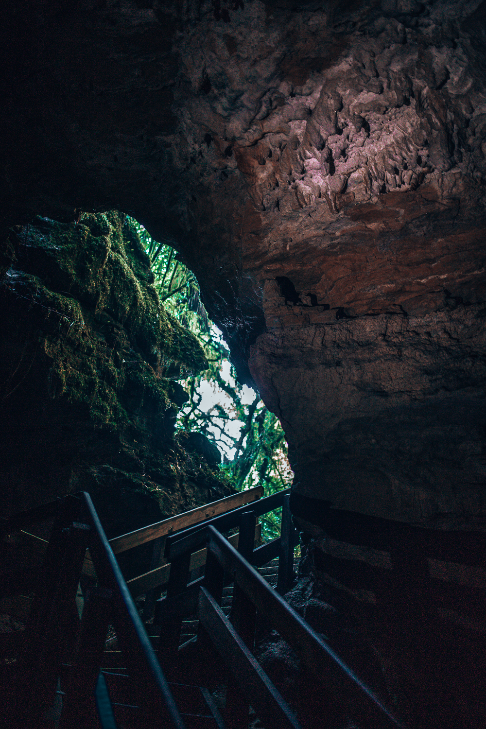 Piripiri Cave Walk | Waikato, New Zealand - Let's Be Explorers