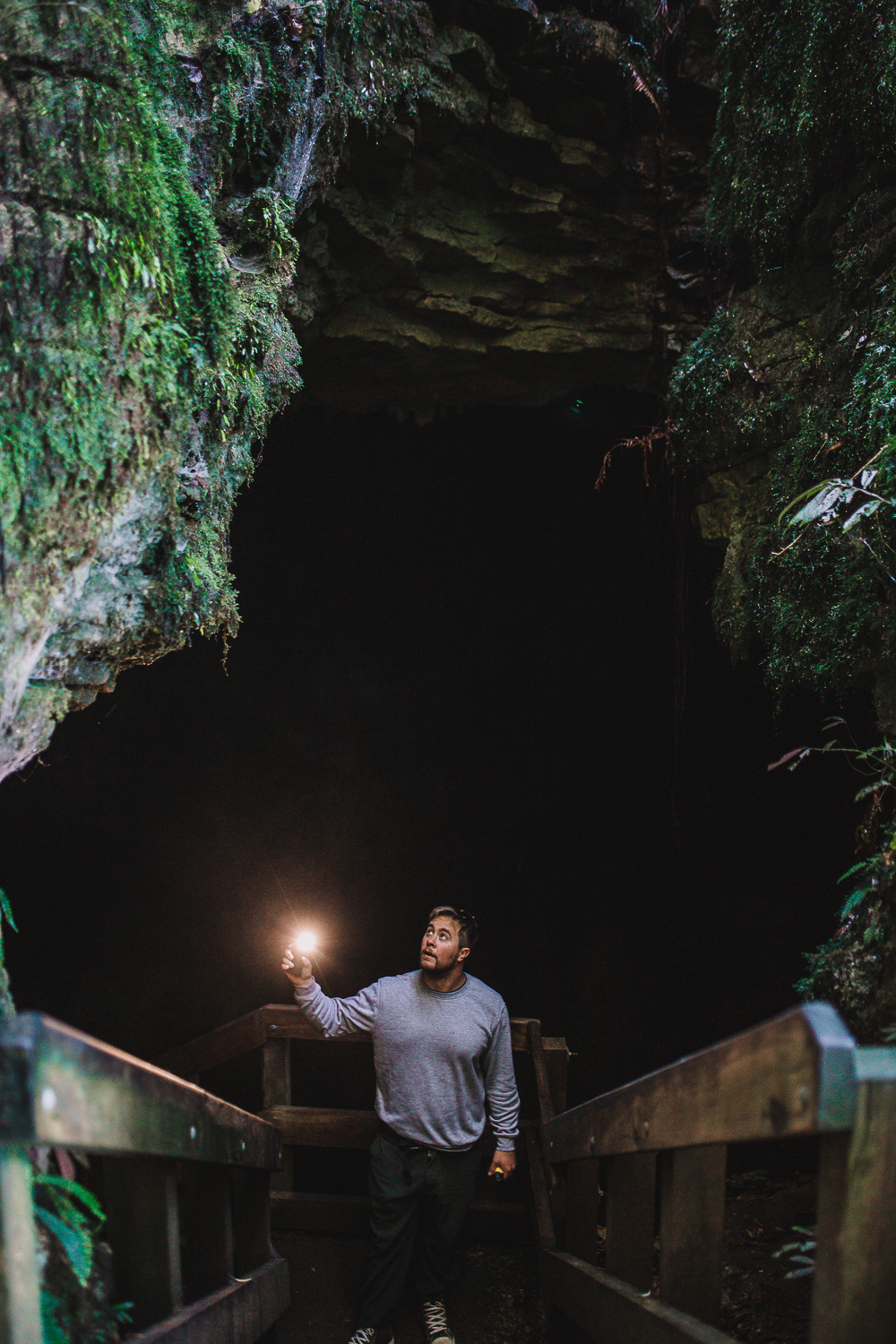 Piripiri Cave Walk | Waikato, New Zealand - Let's Be Explorers